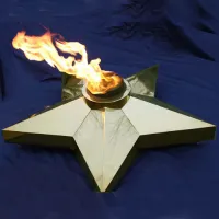 Звезда Ø 1100 - горелка ГВД 379 10 89 00 ПС (1636) в Ижевске